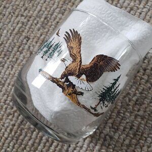 Vintage Sunoco North American Wildlife Collector Drinking Glasses: Bald Eagle